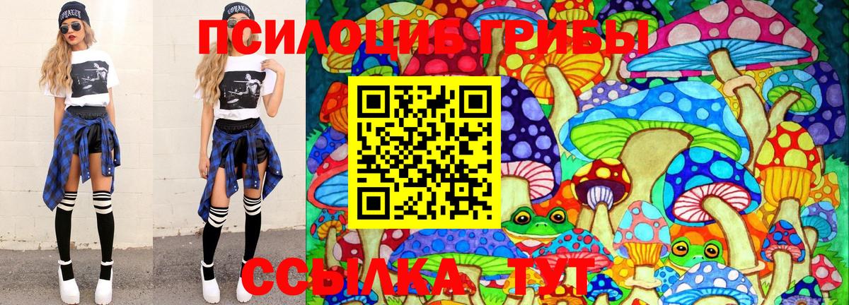 Галлюциногенные грибы Magic Shrooms Ярославль