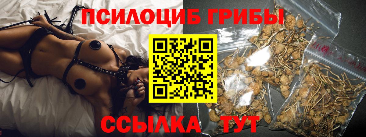 Ярославль  Галлюциногенные грибы Cubensis  Псилоцибиновые грибы мухоморы  Вход с VPN 