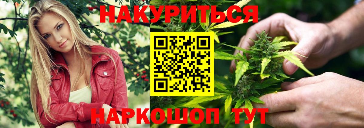 Конопля тримм  Бошки Шишки Ganja  Ярославль  Вход с VPN  МАРИХУАНА Amnesia  Каннабис планчик 