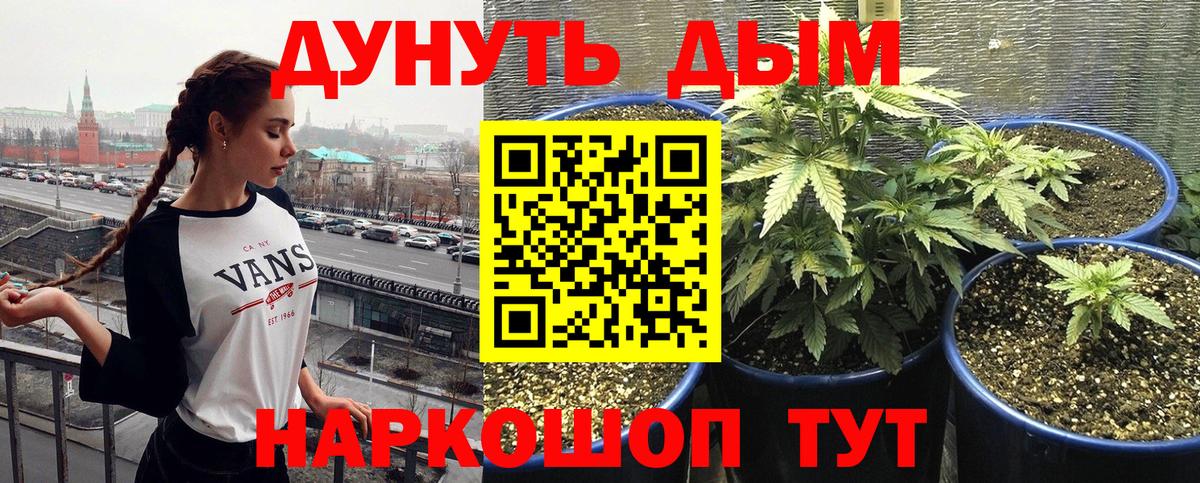 Марихуана семена Ярославль